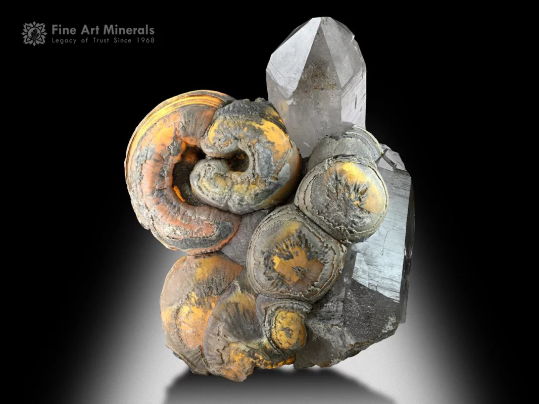 Smoky quartz with fossil-like limonite spheres from Pakistan.