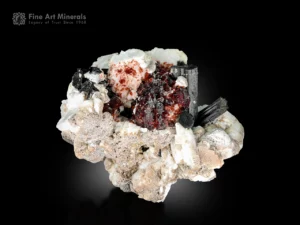 Deep red spessartine garnet with black schorl crystals on white feldspar matrix from Pakistan.