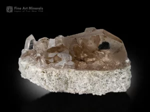 Swiss smoky quartz crystals on white matrix showing warm color, sharp form, and excellent condition.