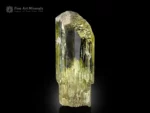 Transparent yellow spodumene var. triphane crystal with etched termination and glassy luster.