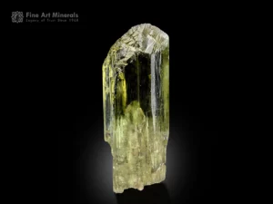 Transparent yellow spodumene var. triphane crystal with etched termination and glassy luster.