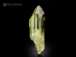 Transparent yellow spodumene var. triphane crystal with etched termination and glassy luster.
