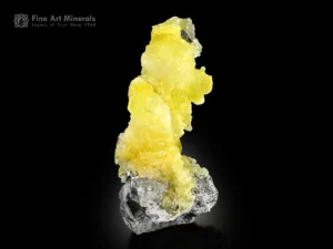 Bright, elongated lemon-yellow brucite from Pakistan, with translucent growths and strong contrast on the matrix.