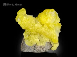 Lemon yellow brucite specimen from Pakistan showing translucent, rounded clusters on a compact matrix.
