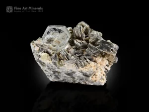 Goshenite crystal with apatite, muscovite, and albite on matrix, showing subtle UV reaction