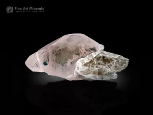Morganite crystal on quartz and albite with a small tourmaline crystal.