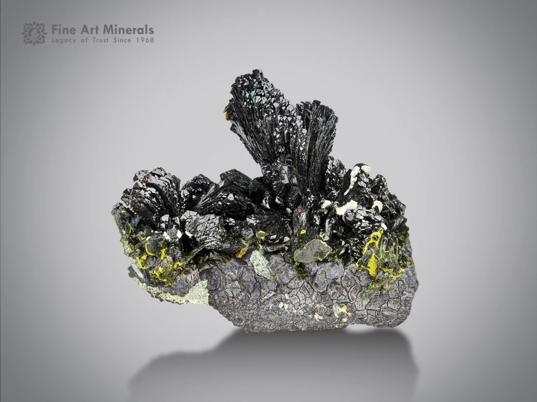 Epidote crystal specimen with sharp-bladed crystals and high luster from Pakistan.