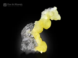 Lemon yellow brucite crystal clusters rising from a dark matrix, showcasing bright translucent color and sculptural form.