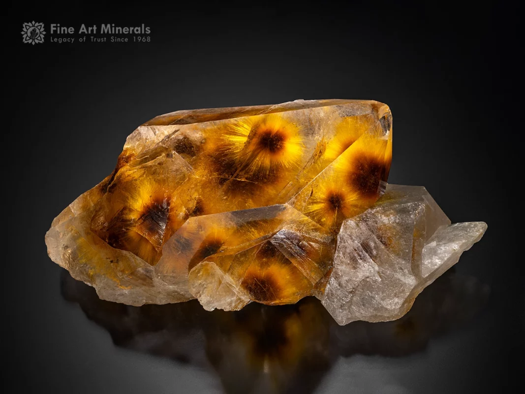 Pom pom quartz crystal showing golden radiating acicular inclusions identified as bassanite from Minas Gerais, Brazil.