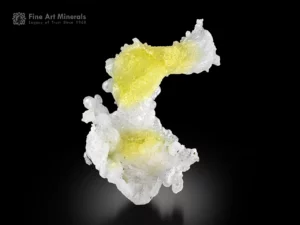 Lemon yellow and white brucite specimen with flowing sculptural form and strong contrast on the matrix.
