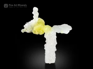 Brucite specimen with branching sculptural form in lemon yellow and white tones.