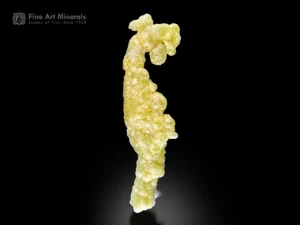 Elongated brucite specimen with bright lemon yellow color and rounded translucent formations.
