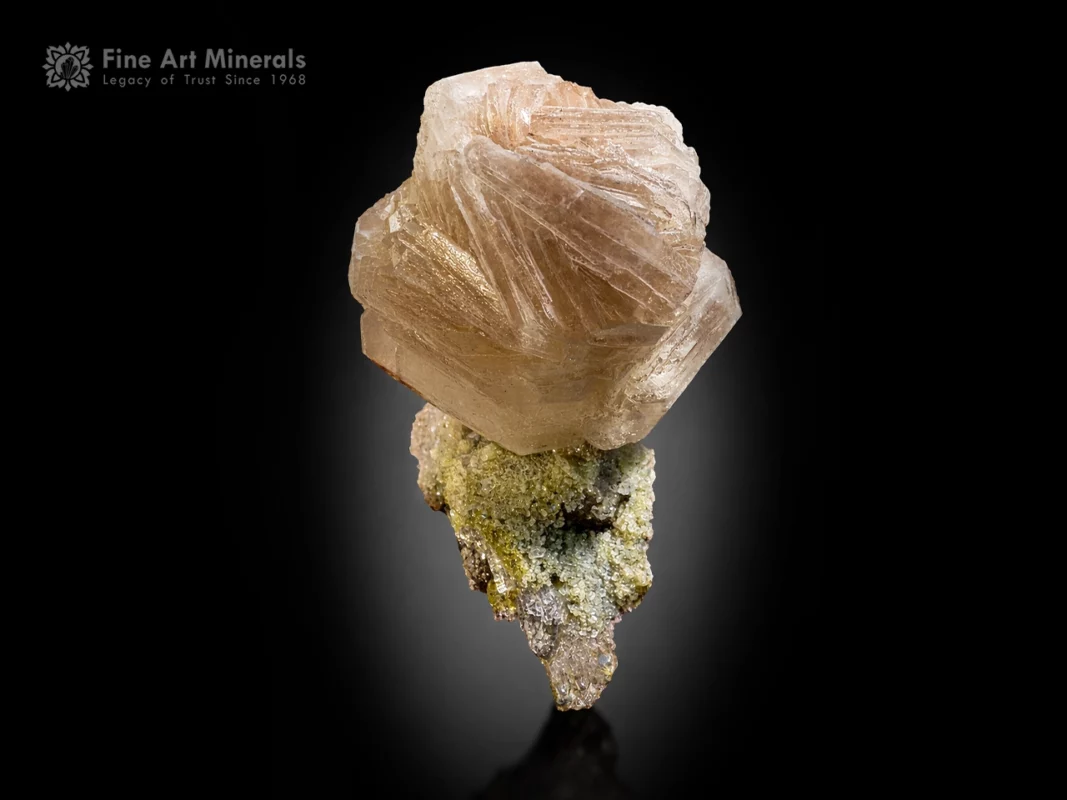 White to creamy apophyllite flower crystal on quartz matrix with green epidote spray from China.