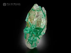 Vivid green emerald crystals associated with a lustrous smoky quartz matrix, showing strong contrast