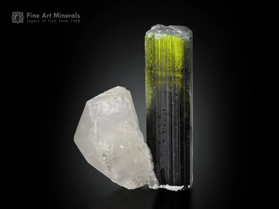 Tourmaline crystal with herderite showing black to green color transition from Skardu, Pakistan