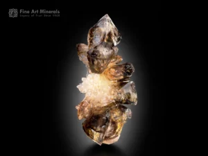 Window quartz crystals on quartz matrix from Namibia showing skeletal growth, smoky champagne color, and sharp crystal geometry.