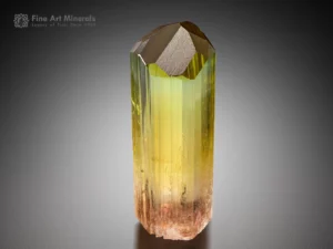 elongated tourmaline crystal showing yellow-green to golden honey color zoning from the democratic republic of the Congo