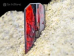 Sharp red brookite crystal emerging from a light earthy matrix