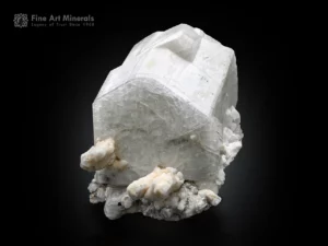 Feldspar crystal associated with schorl and albite, showing strong contrast