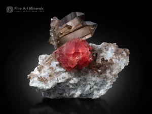 Ruby red octahedral fluorite crystal perched on smoky quartz matrix from the Mont Blanc Massif near Chamonix, France