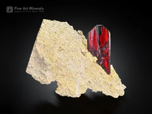 Fiery red phantom brookite crystal with sharp termination on an earthy tone matrix.