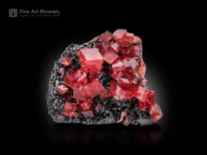 Rhodochrosite crystals on dark tetrahedrite matrix, Sweet Home Mine, Colorado