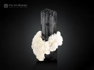 Schorl tourmaline crystal on white albite matrix mineral specimen.