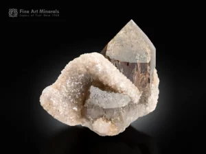 Lustrous smoky quartz crystal surrounded by a pink sugary lepidolite ring on a display base