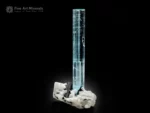Aquamarine crystal standing on albite matrix with black schorl crystals.