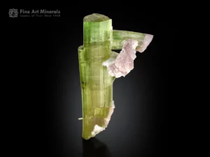 Green tourmaline crystal with pink lepidolite showing excellent luster and contrast