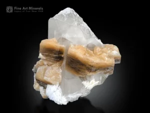 Quartz crystal with brown phlogopite and white albite creates a strong contrast.