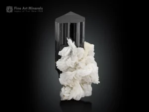Schorl tourmaline crystal with white cleavelandite matrix from Pakistan.