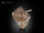 Lustrous smoky quartz crystal with pink tourmaline crystals showing vivid color contrast.