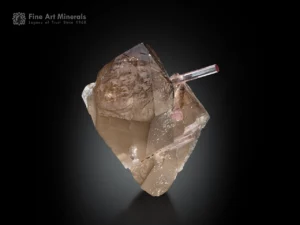 Lustrous smoky quartz crystal with pink tourmaline crystals showing vivid color contrast.