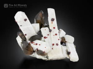 Smoky quartz crystals with red spessartine garnet on white feldspar matrix mineral specimen.