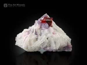 Red tantalite crystal on white albite and purple lepidolite matrix with strong contrast.
