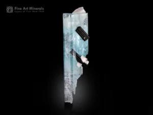 Aquamarine crystal with protruding black schorl and albite mineral specimen.