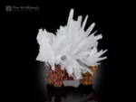 Translucent white aragonite crystal cluster on contrasting limonite matrix