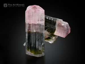 Bi-color tourmaline crystals with pink terminations and green zones, floater specimen.
