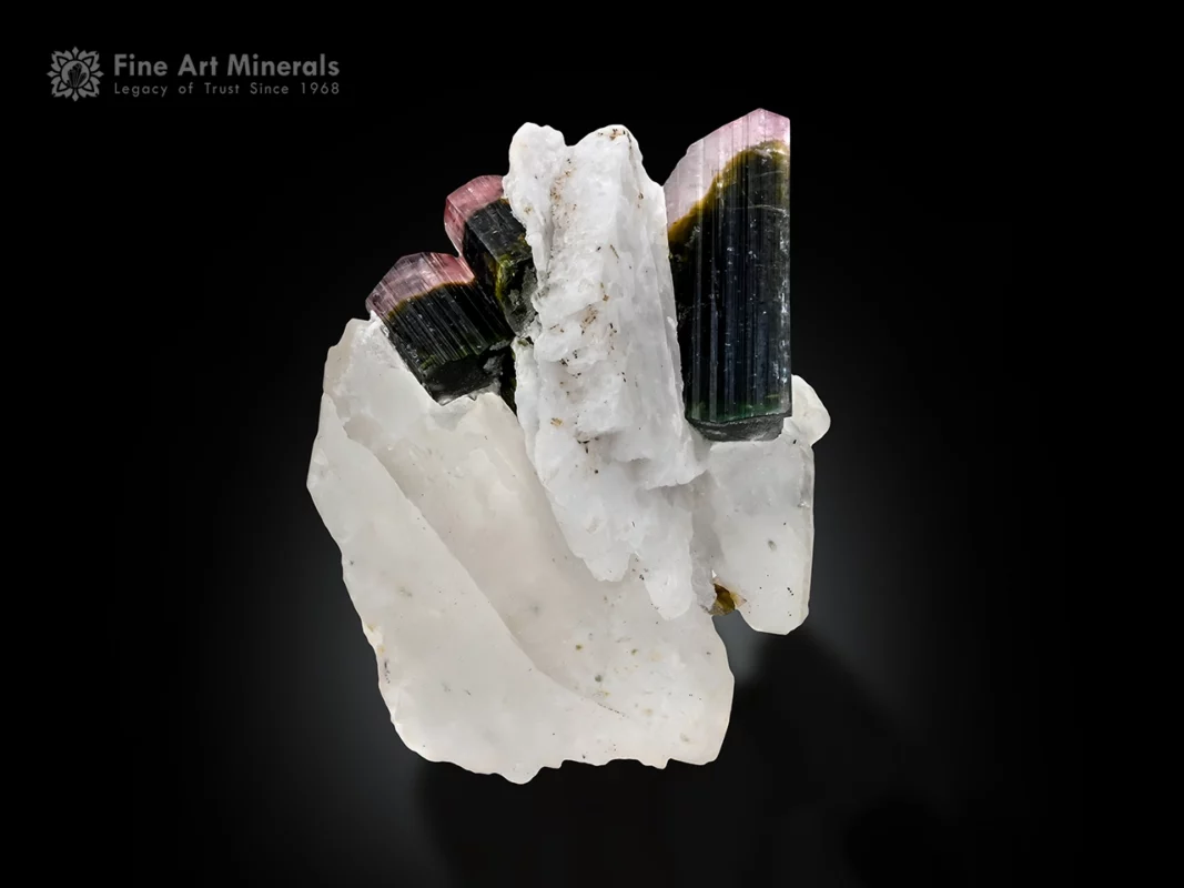 Bi-color tourmaline crystals with pink and green tones on quartz and albite matrix.