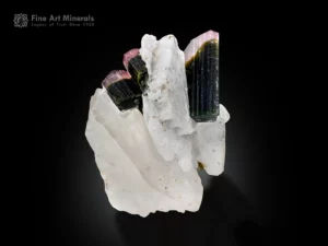 Bi-color tourmaline crystals with pink and green tones on quartz and albite matrix.
