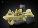 Brookite crystal on quartz with half chlorite coating and half clear transparent quartz crystals.