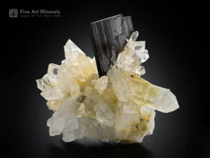 Sharp Brookite crystal protruding from a lustrous quartz cluster with excellent contrast and clarity.
