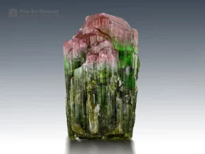 Elbaite tourmaline crystal with green base and pink top showing cluster growth and vertical striations.