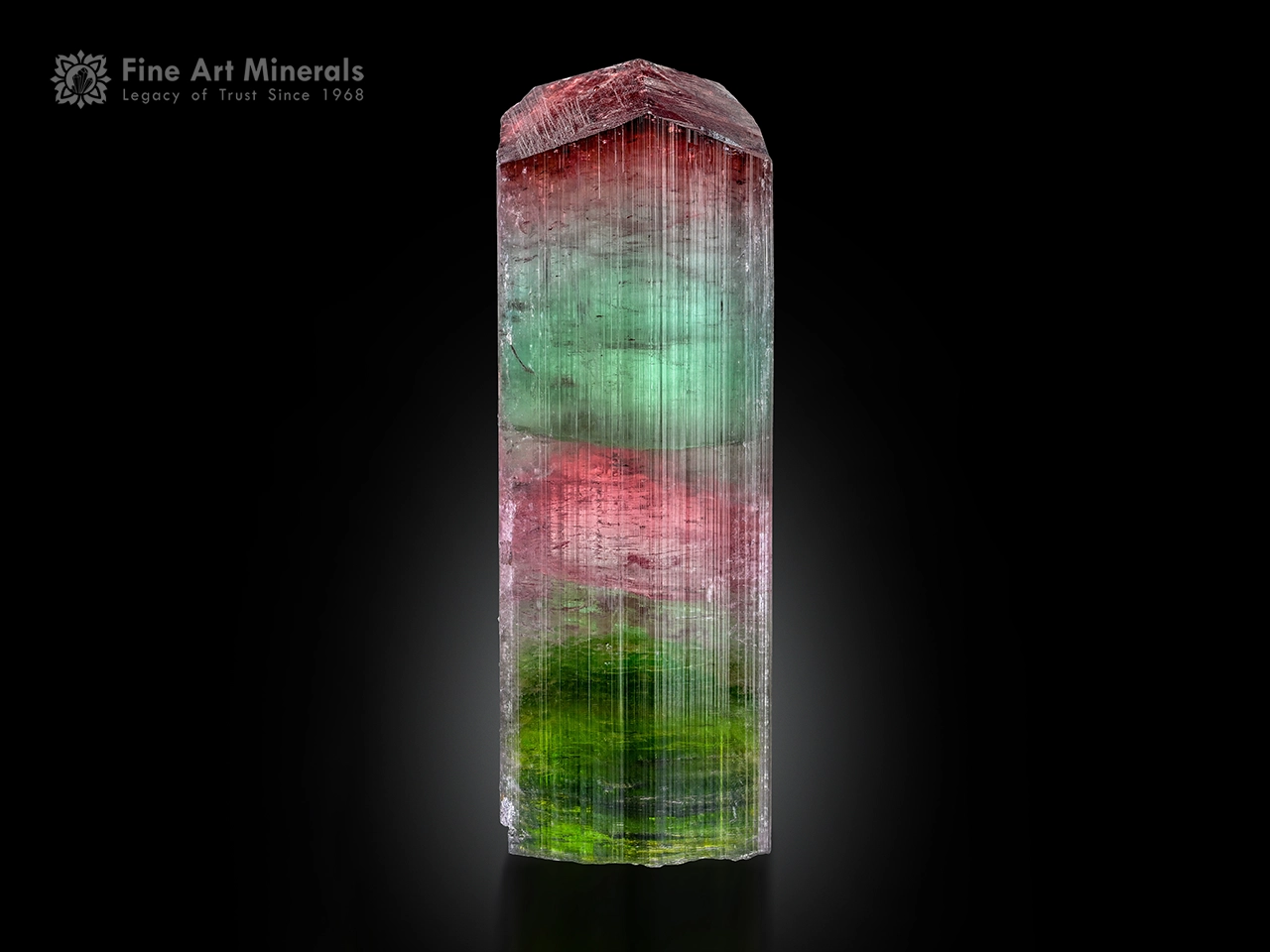 Multi-colored elbaite tourmaline crystal with red, pink, and green zoning from Paprok Valley, Afghanistan.
