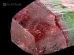Multi-colored elbaite tourmaline crystal with red, pink, and green zoning from Paprok Valley, Afghanistan.