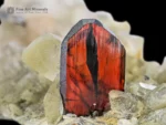 Fiery red Brookite crystal with phantom inclusions on a chlorite-coated quartz matrix with sparkling crystals.