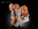 Vivid red Brookite crystal cluster on sparkling clear quartz matrix with strong contrast.