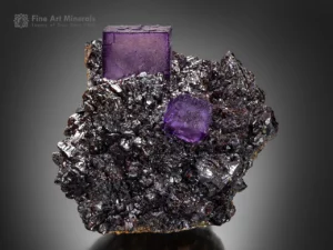 Fluorite cubes on black sphalerite matrix from Elmwood Mine, Tennessee, USA.