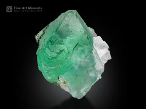 Green fluorite crystal with white quartz matrix showing strong contrast and luster.